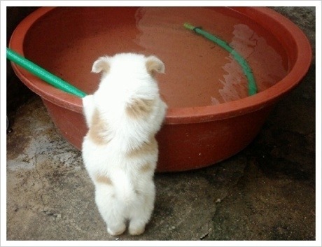 여자들이 반할 수 밖에 없다는 뒷모습 ㄷㄷㄷ.JPG | 인스티즈