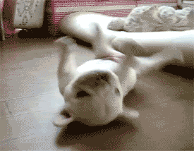 여기서 꼬순내 대박 ㄷㄷㄷ.JPG | 인스티즈