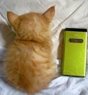 여자들이 반할 수 밖에 없다는 뒷모습 ㄷㄷㄷ.JPG | 인스티즈